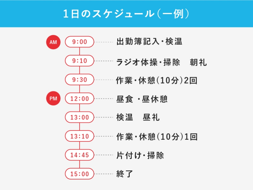 1日のスケジュール（一例）