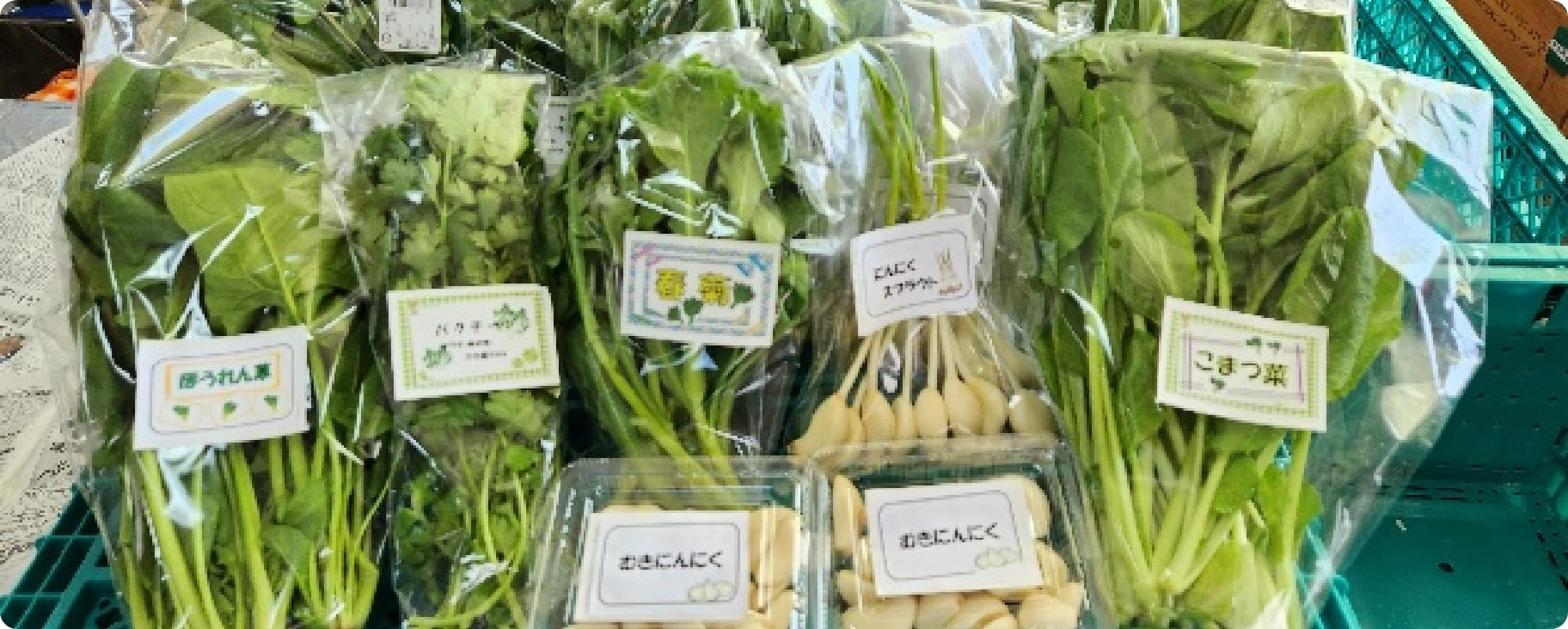 ラシーヌけんこうソムリエファーム